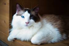 Elodie ARNAUD - ARNAUD ELODIE