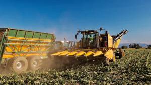 Boris TAIEB - TAIEB - PLAN FOKAL