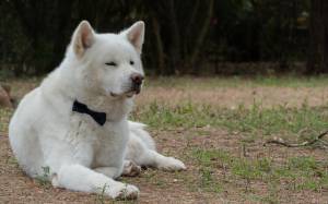 Edward MATEI-DEDIU - MOVART STUDIOS